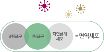면역세포